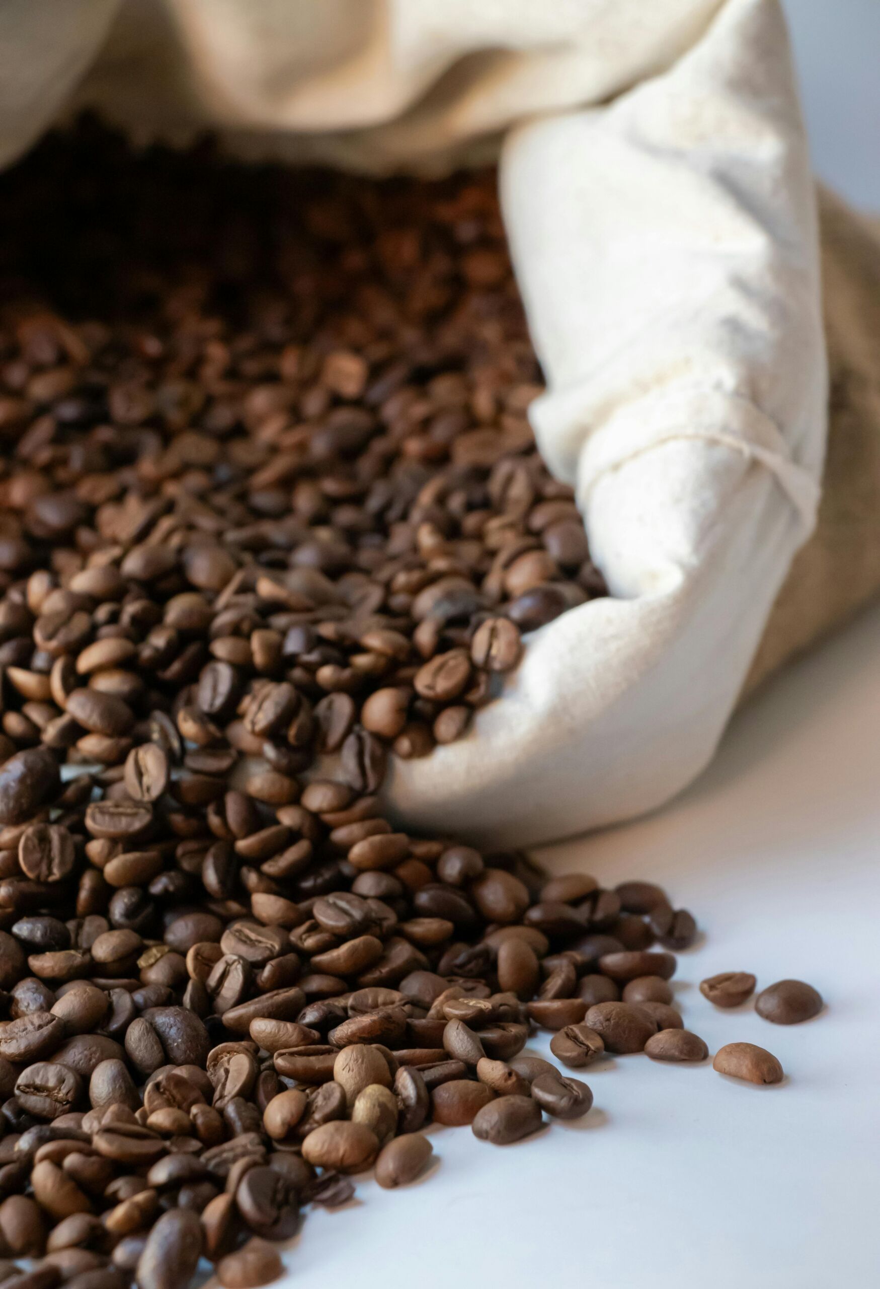 pexels-ozge-sultan-temur-137931573-27427899